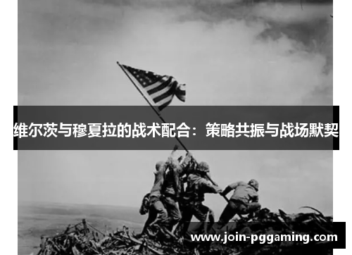 维尔茨与穆夏拉的战术配合：策略共振与战场默契