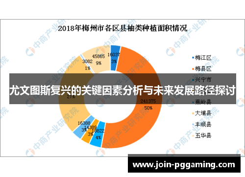 尤文图斯复兴的关键因素分析与未来发展路径探讨