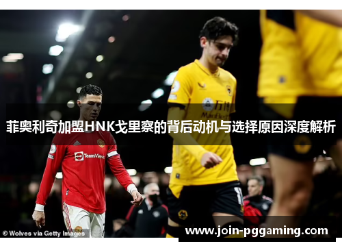 菲奥利奇加盟HNK戈里察的背后动机与选择原因深度解析