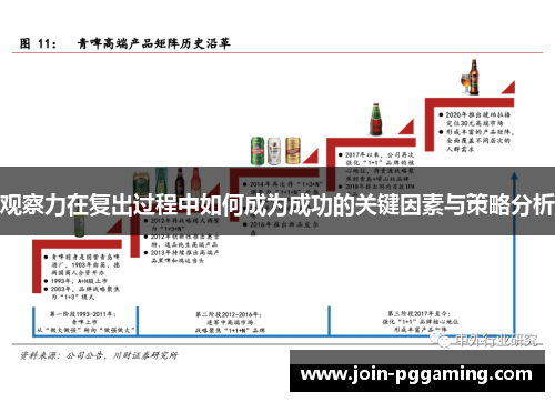 观察力在复出过程中如何成为成功的关键因素与策略分析