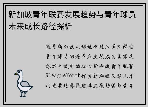 新加坡青年联赛发展趋势与青年球员未来成长路径探析